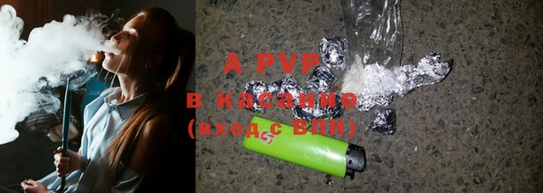 гашик Горно-Алтайск